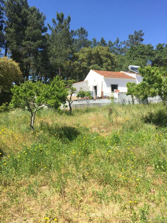 Casa Do Loureiro Branco Bed and Breakfast Santarém Εξωτερικό φωτογραφία