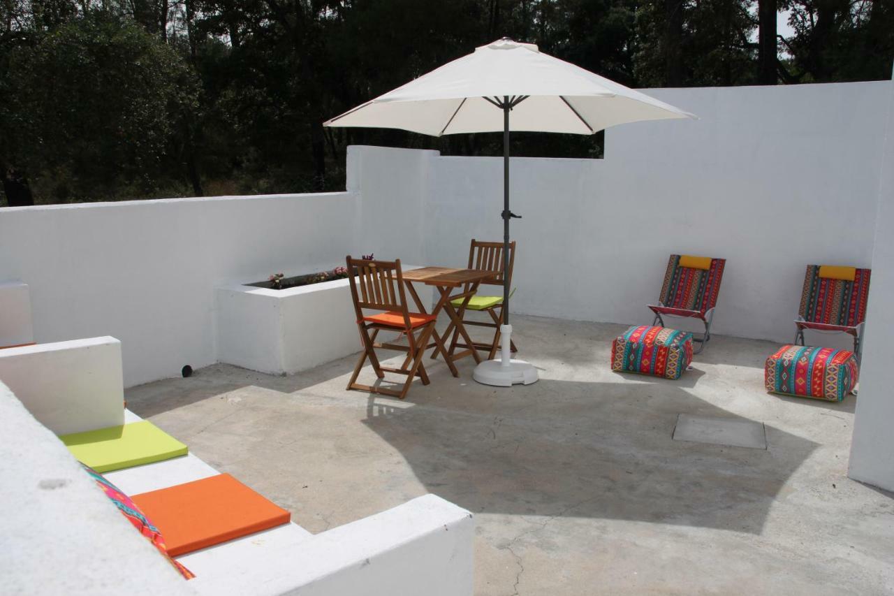 Casa Do Loureiro Branco Bed and Breakfast Santarém Εξωτερικό φωτογραφία