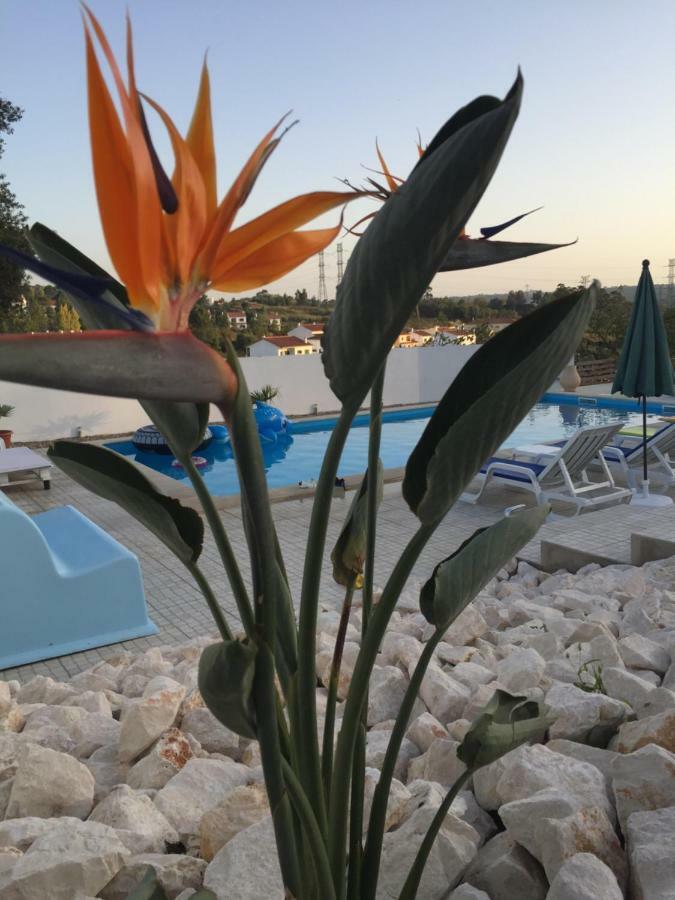 Casa Do Loureiro Branco Bed and Breakfast Santarém Εξωτερικό φωτογραφία